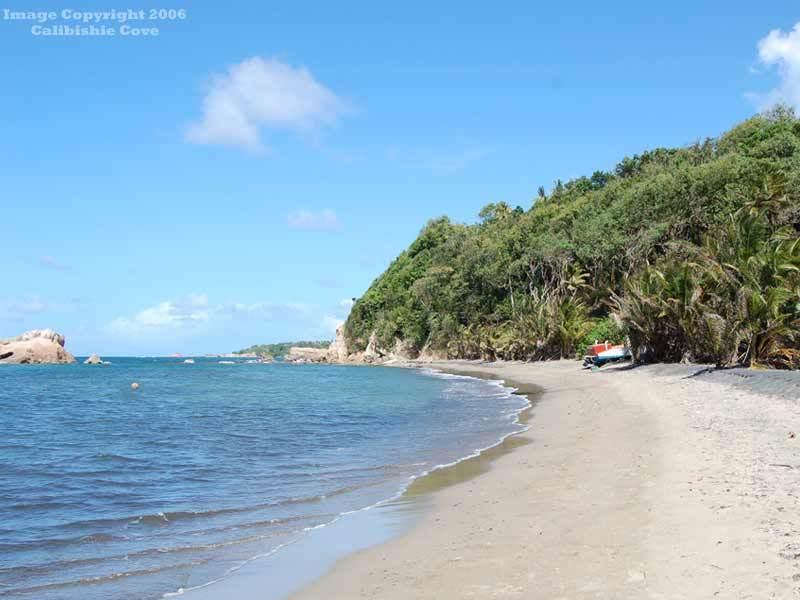 Calibishie Cove 호텔 시설 사진